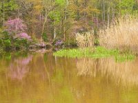 04-01-12-Nanjemoy-4404