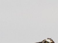 06-09-13-Rt 4-0647 (1)