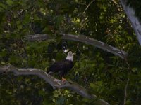 06-22-13-Piscataway-1240