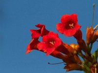 07-06-13-Mattawoman-1730