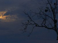 08-03-13-Piscataway-3446