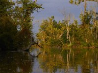 08-03-13-Piscataway-3572