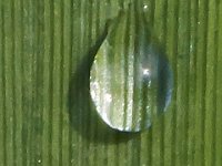 08-13-13-NC4413