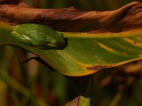 08-24-13-Nanjemoy-5528