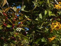 09-06-13-Mattaponi-6516