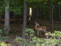 09-28-13-Rocky Gorge-8010