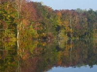 10-04-13-Tuckahoe-8802