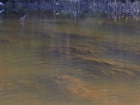 10-05-13-Nanjemoy-9221