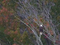10-19-13-Piscataway-0604