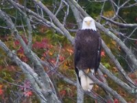 10-19-13-Piscataway-0609