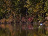 10-26-13-Nanjemoy-1252