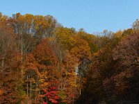 11-02-13-Rocky Gorge-2047