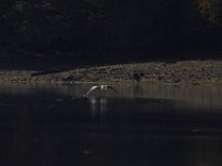 11-02-13-Rocky Gorge-2160