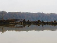 11-16-13-Mattawoman-2326