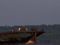 06-14-14-Mallows Bay-5729