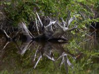 06-22-14-St Marys Lake-5834