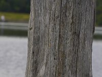 06-22-14-St Marys Lake-5932