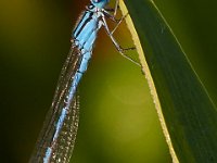 06-29-14-Nanjemoy-6524