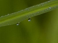 06-29-14-Nanjemoy-6666