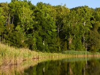 07-05-14-Nanjemoy-6770
