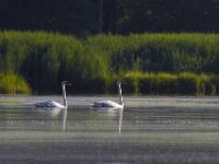 07-05-14-Nanjemoy-6829