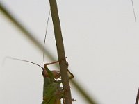 09-02-14-Nanjemoy-0957