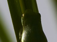 09-02-14-Nanjemoy-1022