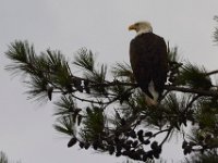 09-13-14-St Marys Lake-1844