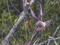 09-29-14-Selbys Landing-2751
