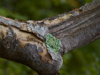09-29-14-Selbys Landing-2883
