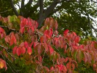 09-29-14-Selbys Landing-2854