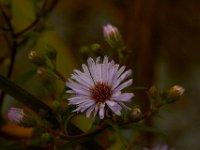 09-29-14-Selbys Landing-2968