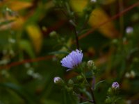 09-29-14-Selbys Landing-2970