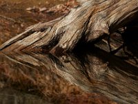 04-12-15-Rocky Gorge-21103