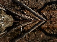 04-12-15-Rocky Gorge-21111