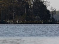 04-18-15-Nanjemoy-21485