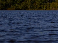 05-24-15-St Marys Lake-23804