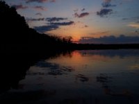 05-30-15-Mattawoman-23918