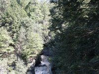 Poconos-July-2015-27713