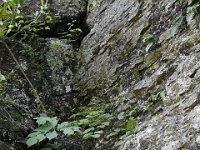 Poconos-July-2015-27742