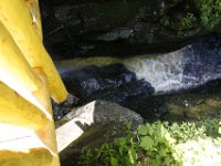 Poconos-July-2015-27791