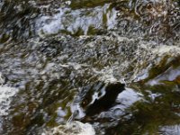 Poconos-July-2015-27802