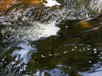 Poconos-July-2015-27805