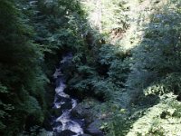 Poconos-July-2015-27831