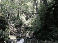 Poconos-July-2015-27900