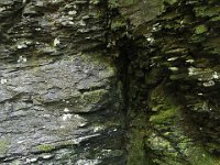 Poconos-July-2015-27906