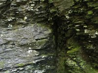 Poconos-July-2015-27907