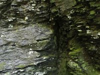 Poconos-July-2015-27908
