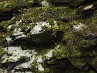 Poconos-July-2015-27915