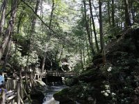 Poconos-July-2015-27930
